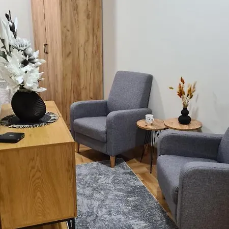 Apartmán Ms Vrnjačka Banja