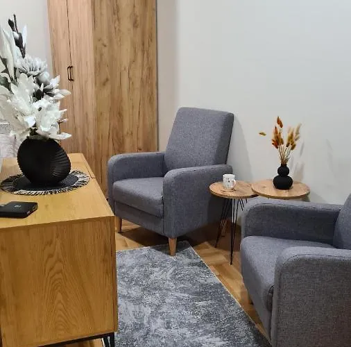 Apartment Ms Vrnjačka Banja